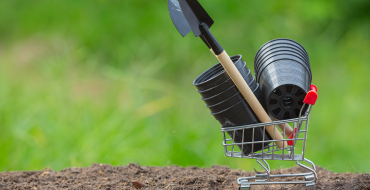 Fruits and Vegetables